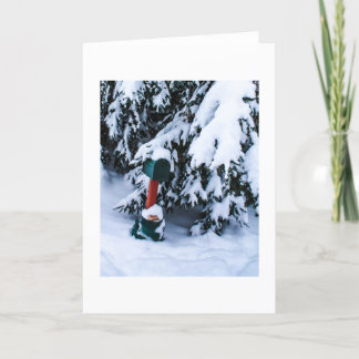 Cartão De Festividades Caixa postal 2 do Natal