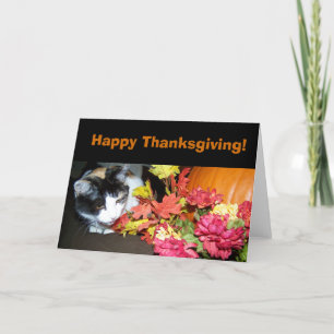 Cartão De Festividades Calico Cat Happy Thanksgiving Card