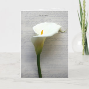 Cartão De Festividades Calla Lily sobre a velha compaixão pela caligrafia