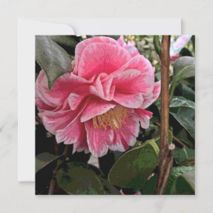Cartão De Festividades Camellia