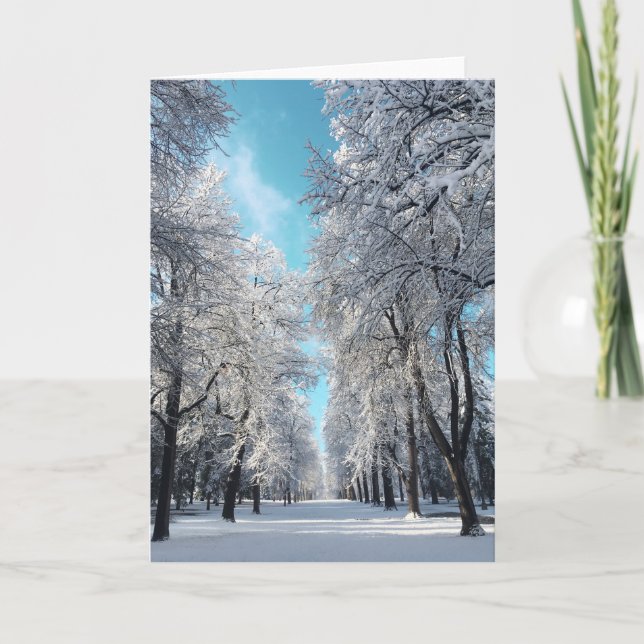Cartão De Festividades caminhada de inverno no parque (Frente)