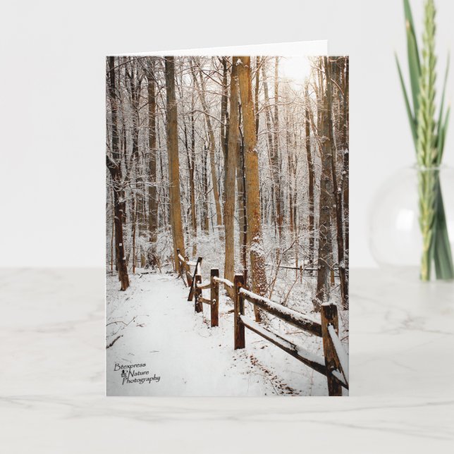 Cartão De Festividades Caminhada do inverno (5,0) (Frente)