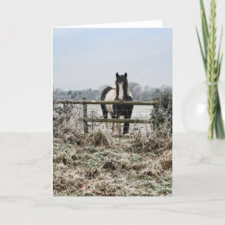 Cartão De Festividades Campo Congelado