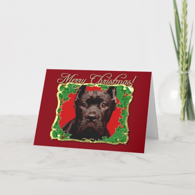 Cartão De Festividades Cane Corso de Natal (Frente)