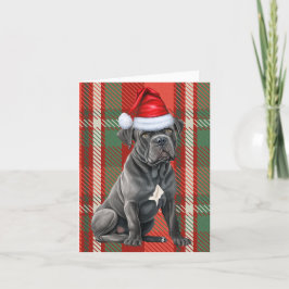 Cartão De Festividades Cane Corso Natal Cão Vermelho Natal Natal Natal Na
