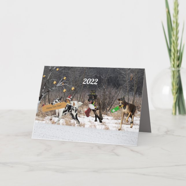 Cartão De Festividades Canetas de feliz ano novo (Frente)