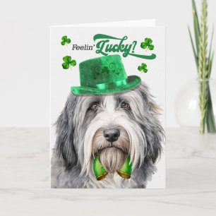Cartão De Festividades Cão Bearded Collie com sorte no Dia de São Patríci