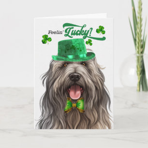 Cartão De Festividades Cão Bergamasco Feliz Dia de São Patrício