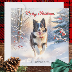 Cartão De Festividades Cão Border Collie Na Neve Feliz Natal