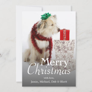 Cartão De Festividades Cão com decorações e presentes