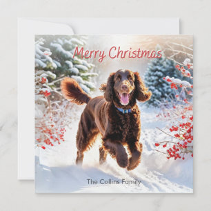 Cartão De Festividades Cão de Água Irlandês na Neve Natal Feliz