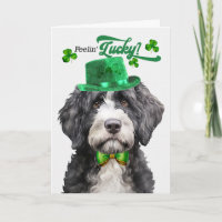 Cão de Água Português Feliz Dia de São Patrício