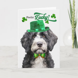 Cartão De Festividades Cão de Água Português Feliz Dia de São Patrício