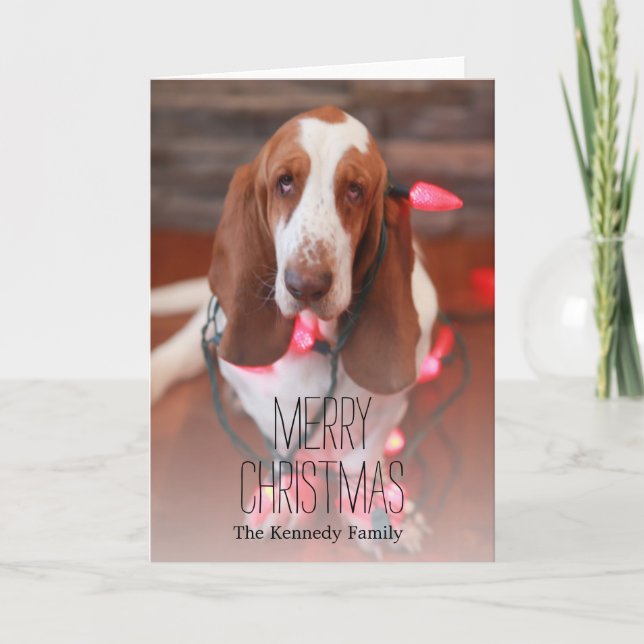 Cartão De Festividades cão de basset, Natal, luzes de Natal (Frente)