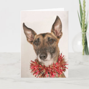 Cartão De Festividades Cão de Natal 1