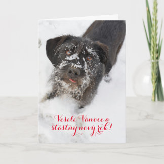 Cartão De Festividades Cão de Natal em língua checa personalizada