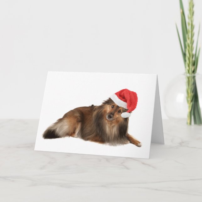 Cartão De Festividades Cão de Sheltie do Natal (Frente)