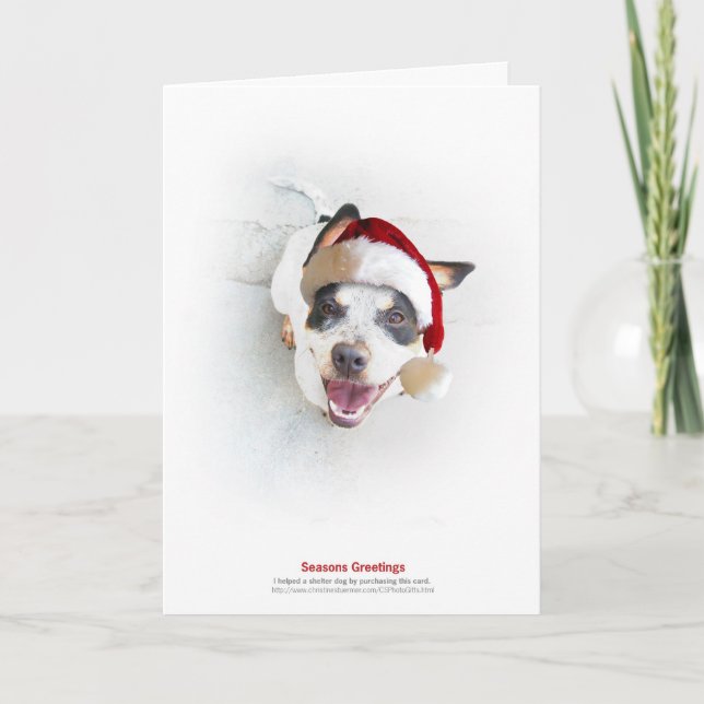 Cartão De Festividades Cão do abrigo do feriado (Frente)