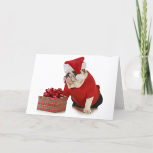 Cartão De Festividades Cão do papai noel - buldogue inglês vestido como
