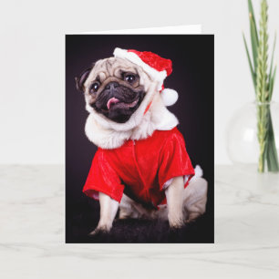 Cartão De Festividades cão do pug