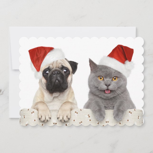 Cartão De Festividades Cão e gato no chapéu vermelho do Natal (Frente)