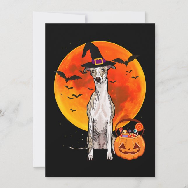 Cartão De Festividades Cão Halloween Whippet Jack O Lanterna Pumpkin (Frente)