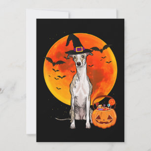 Cartão De Festividades Cão Halloween Whippet Jack O Lanterna Pumpkin