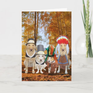Cartão De Festividades Cão/laboratório/peregrinos e indianos engraçado