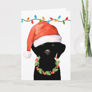 Cartão De Festividades Cão Labrador Preto de Natal Papai Noel