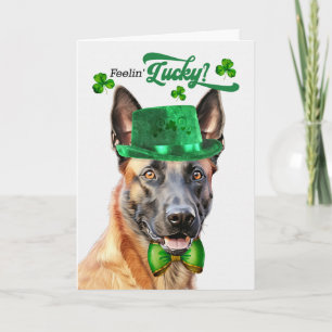 Cartão De Festividades Cão Malinois Belga Dia de São Patrício Sortudo