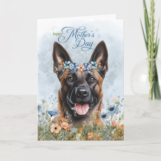 Cartão De Festividades Cão Malinois Belga Flor Silvestre Dia das Mães (Frente)