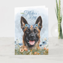 Cão Malinois Belga Flor Silvestre Dia das Mães