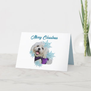 Cartão De Festividades Cão Maltês com Arreio Roxo nos Flocos de Neve