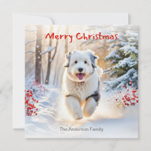 Cartão De Festividades Cão Ovelheiro Inglês Antigo na Neve Feliz Natal