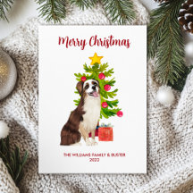 Cão Pastor Australiano Família Natal
