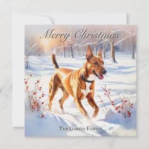 Cartão De Festividades Cão Pharaoh Hound na Neve de Natal