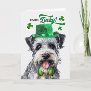 Cartão De Festividades Cão Pumi Feliz Dia de São Patrício