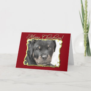 Cartão De Festividades cão rottweiler