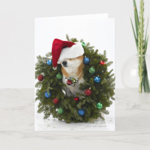 Cartão De Festividades Cão Shiba Inu vestindo chapéu de Papai Noel sentad