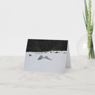 Cartão De Festividades Card -adirondack chairs in snow drift