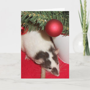 Cartão De Festividades Card: Christmas Rats