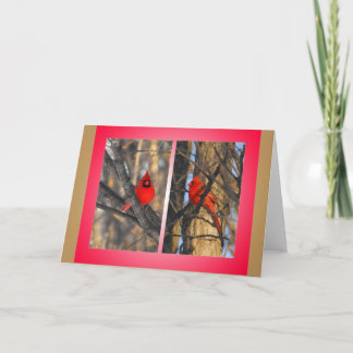 Cartão De Festividades Cardeais em uma manhã "torrada" do inverno
