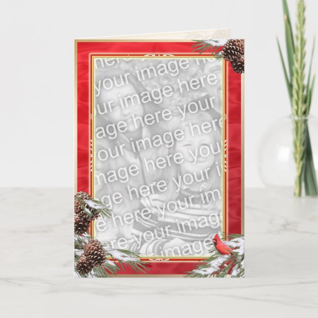 Cartão De Festividades Cardeal atrativo e pinheiros em uma Satanás vermel (Frente)