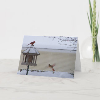 Cartão De Festividades Cardeal em vôo