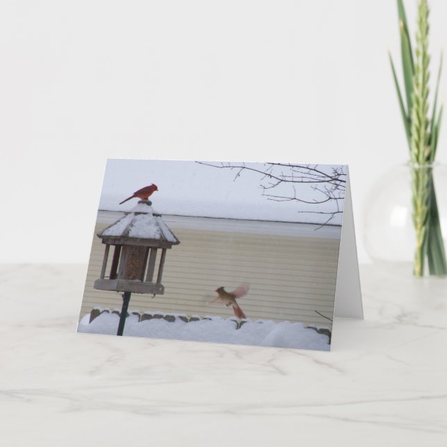 Cartão De Festividades Cardeal em vôo (Frente)