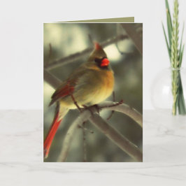 Cartão De Festividades Cardeal fêmea do feriado