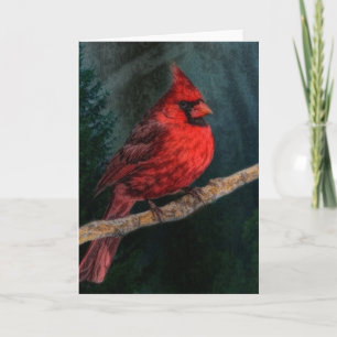 Cartão De Festividades Cardeal Vermelho Primitivo de Natal Evergreen de i