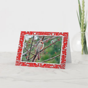Cartão De Festividades Cardinal 4539 Frame Christmas Card