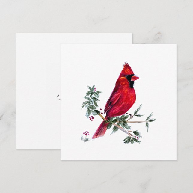 Cartão De Festividades Cardinal em Aquarela por Amy DeVane Art Cards (Frente/Verso)