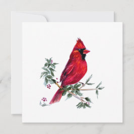 Cartão De Festividades Cardinal em Aquarela por Amy DeVane Art Cards